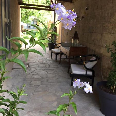 Un Jardin En Ville ซาร์ลา-ลา-กาเนดา ภายนอก รูปภาพ